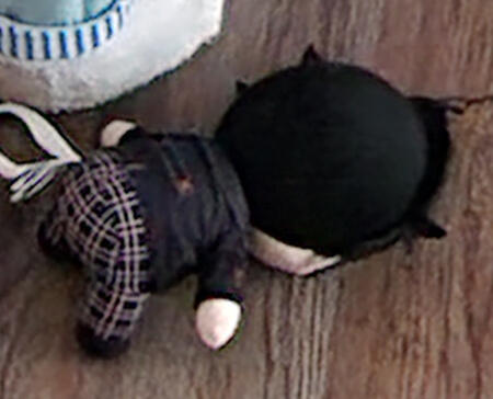 *Yes I also edit images to make memes*